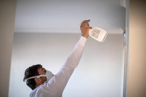 Trusted Helena Valley Northeast, MT Mold Removal Experts
